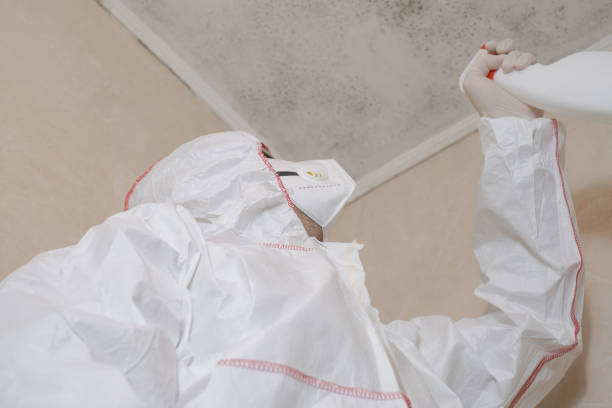 Biohazard Mold Removal in Dubuque, IA