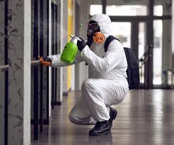 Mold Odor Removal Services in Dubuque, IA